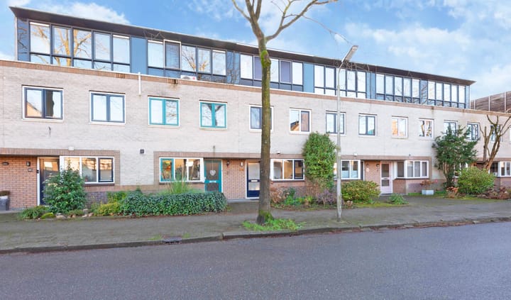 Foto 8 van Atlasvlinder 100