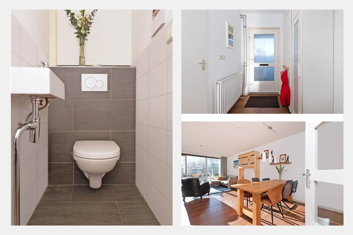 Foto 9 van Atlasvlinder 100