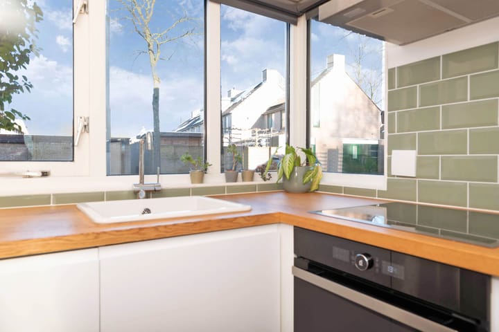 Foto 15 van Atlasvlinder 100