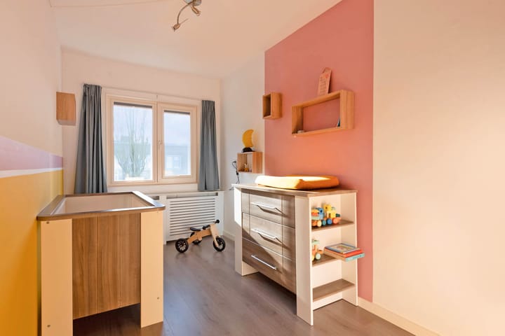 Foto 18 van Atlasvlinder 100