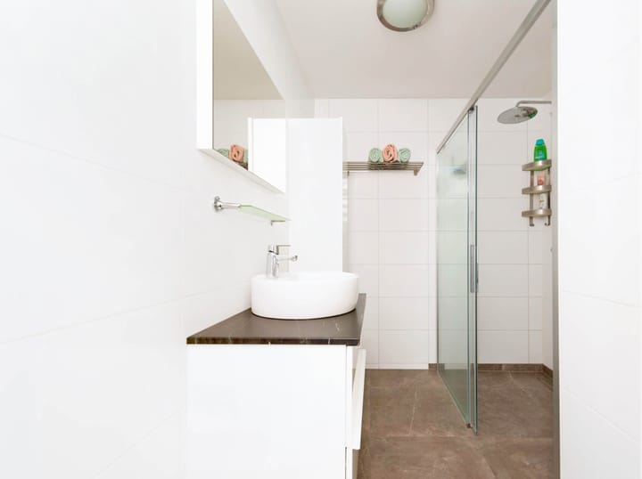 Foto 20 van Atlasvlinder 100