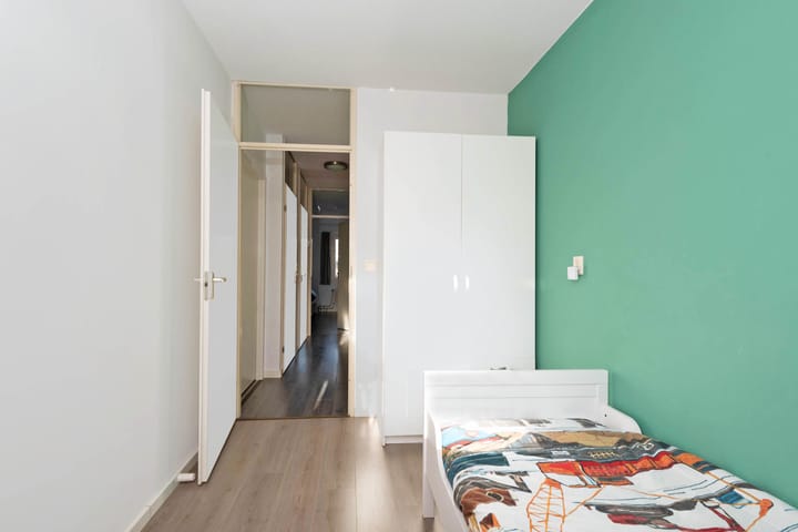 Foto 23 van Atlasvlinder 100