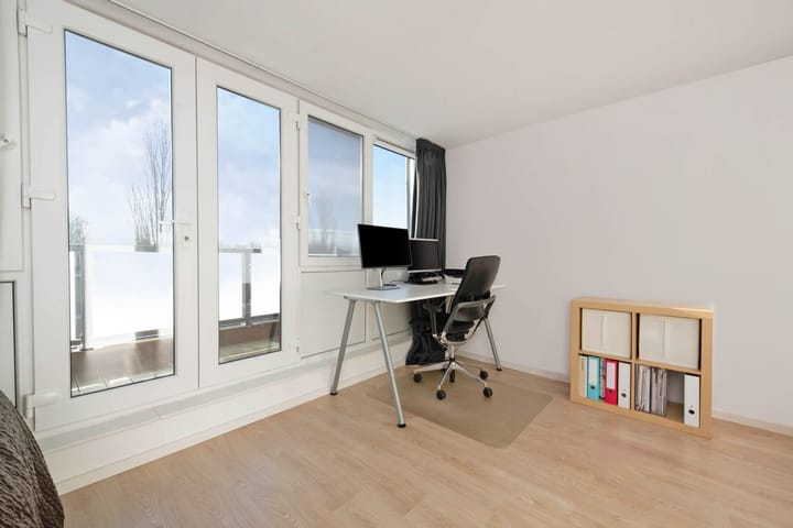 Foto 24 van Atlasvlinder 100