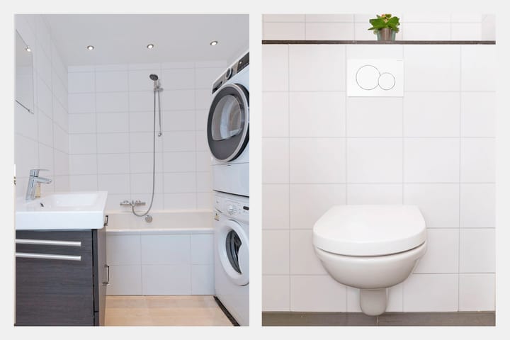 Foto 29 van Atlasvlinder 100