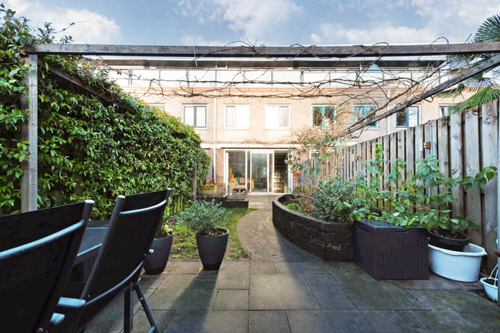 Foto 34 van Atlasvlinder 100