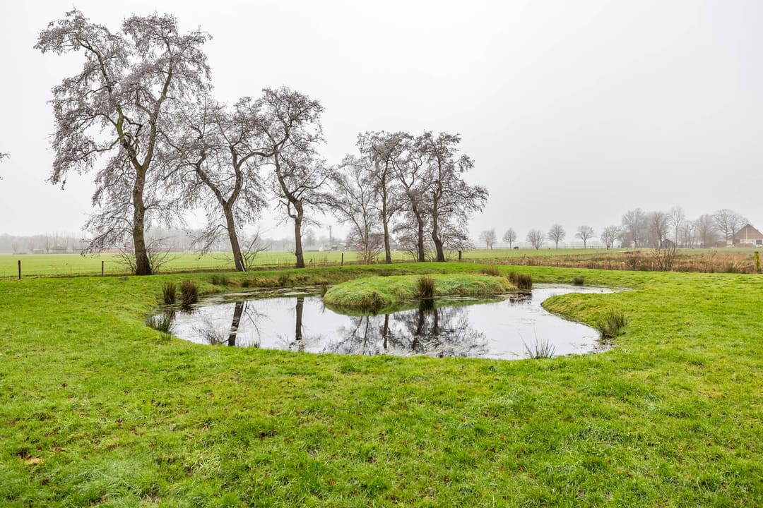 Foto 11 van Lindsterlaan 54