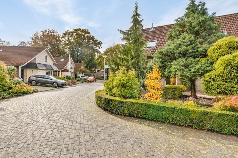 Foto 36 van Roolfs 4