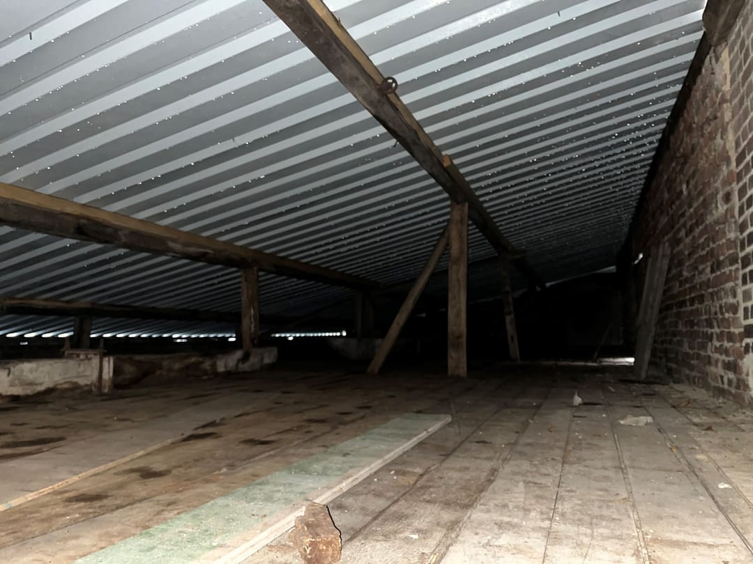 Foto 43 van Op de Bies 61