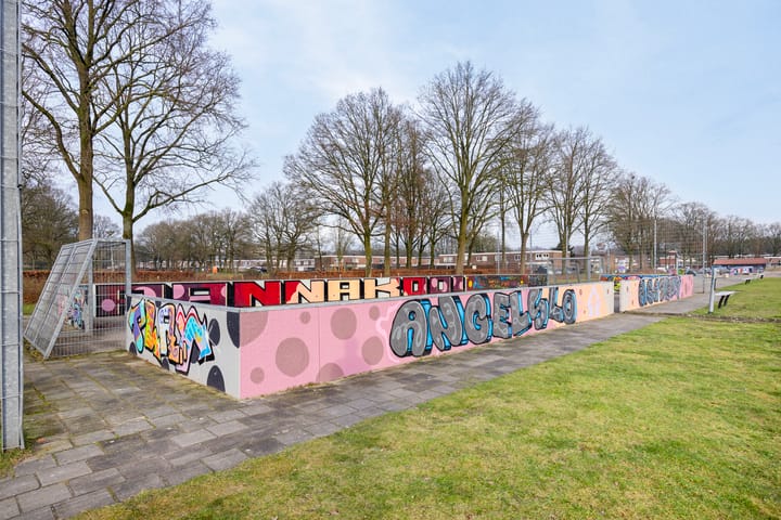 Foto 35 van Thedingecamp 5