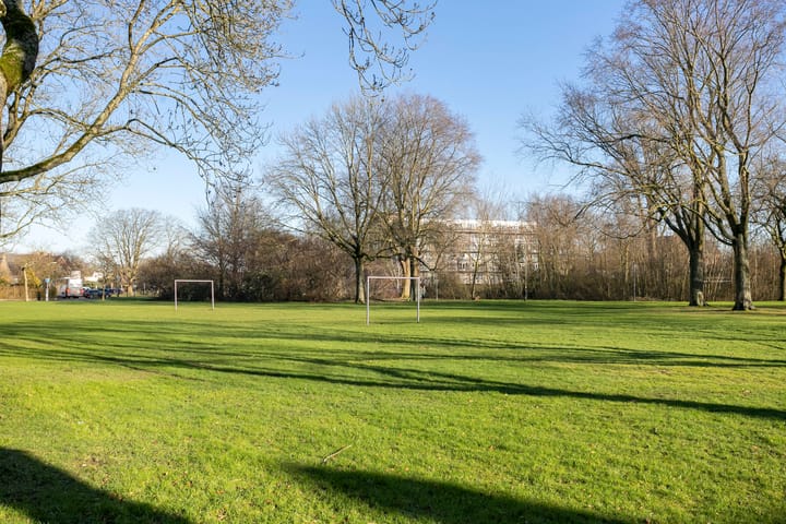 Foto 32 van Graaf Hendrik III plein 41-A