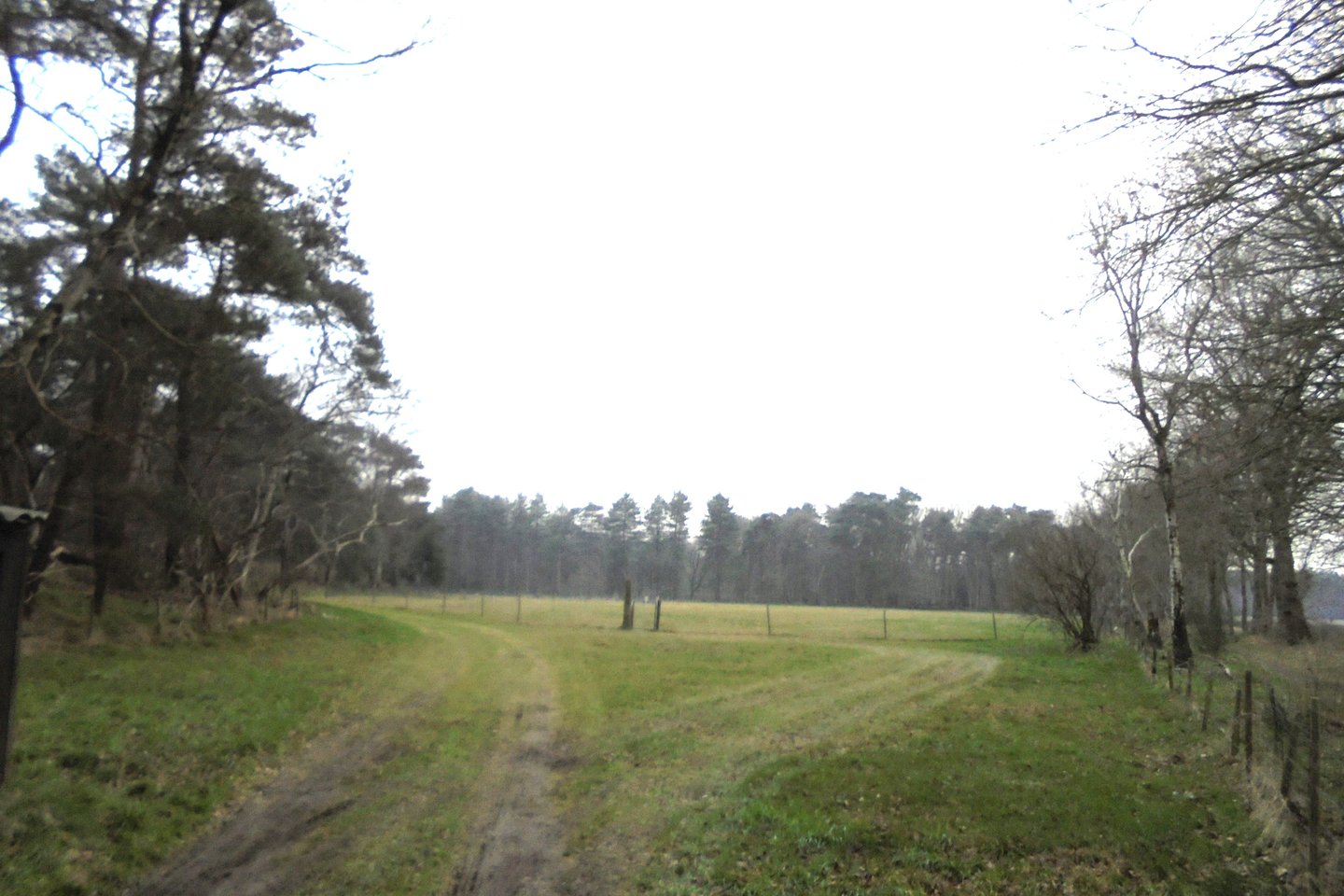 Bekijk foto 4 van Meirseweg