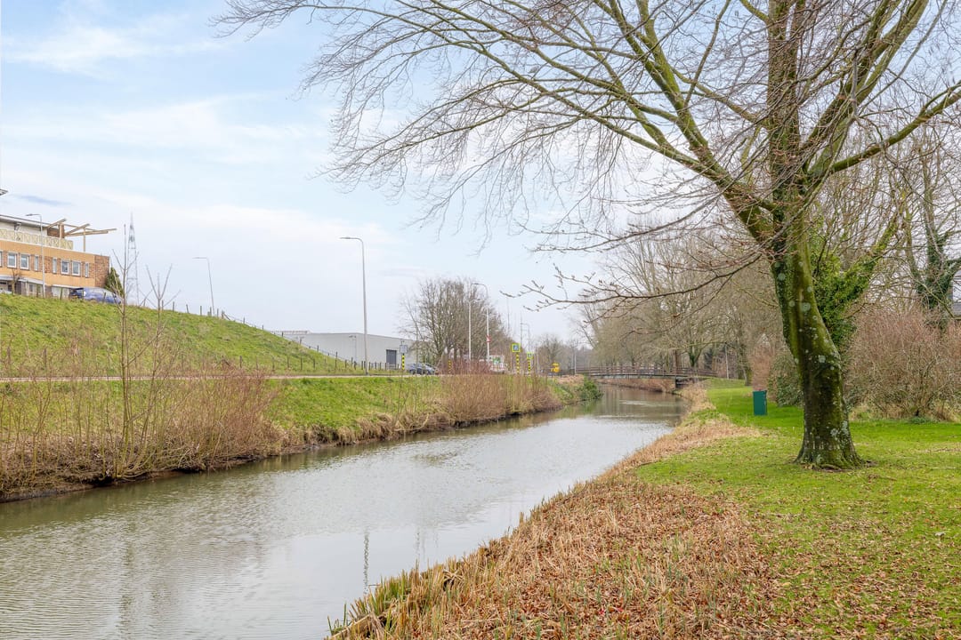 Foto 41 van Pretoriusstraat 80