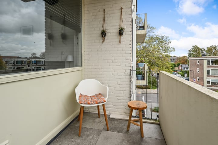 Foto 32 van Plantage 10-A