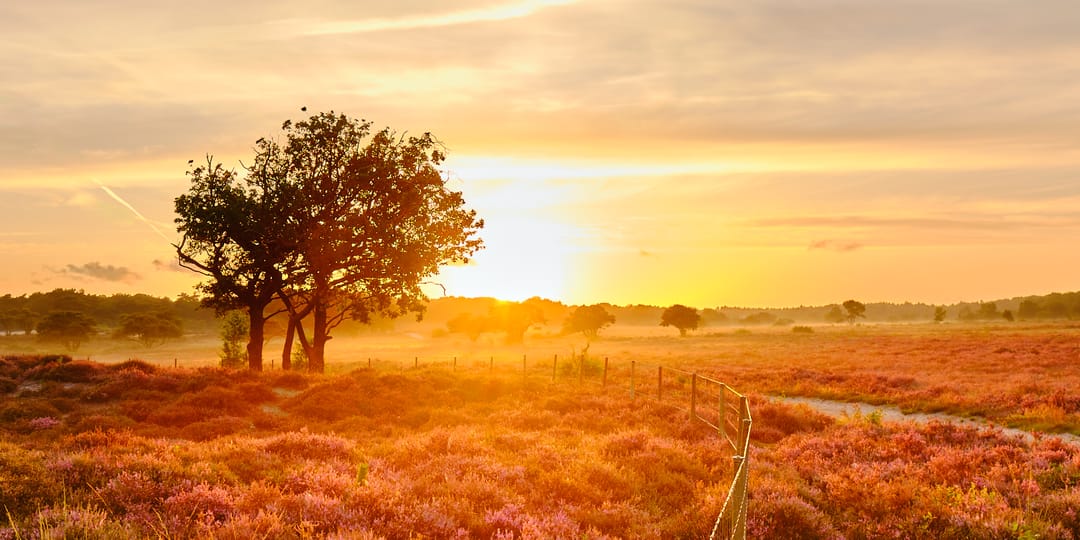 Foto 31 van Radiostraat 74