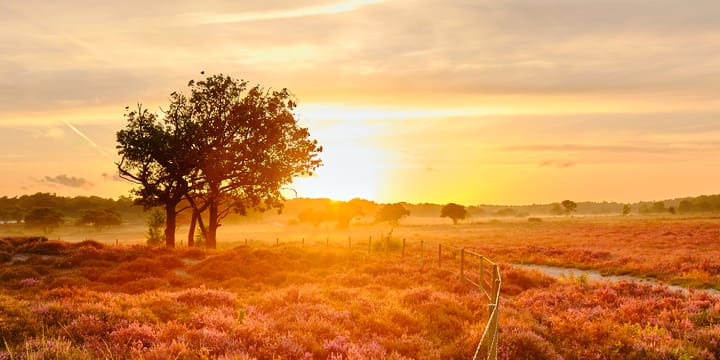 Foto 31 van Radiostraat 74