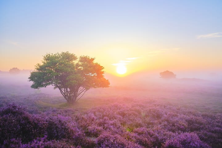 Foto 32 van Radiostraat 74