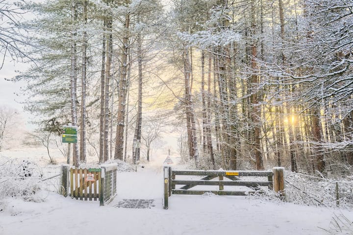 Foto 33 van Radiostraat 74