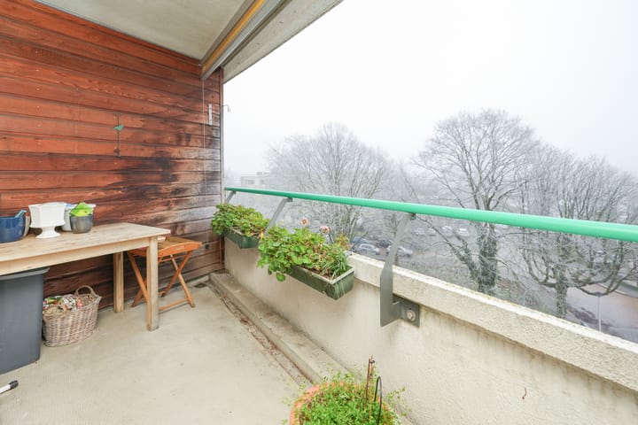 Foto 14 van Professor Cornelissenstraat 78