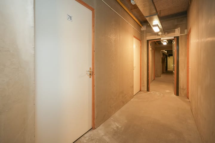 Foto 29 van Professor Cornelissenstraat 78