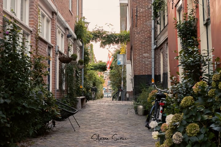 Foto 40 van Achterstraat 37