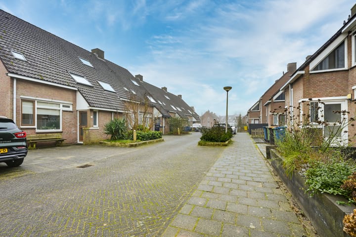 Foto 47 van Dammolen 60