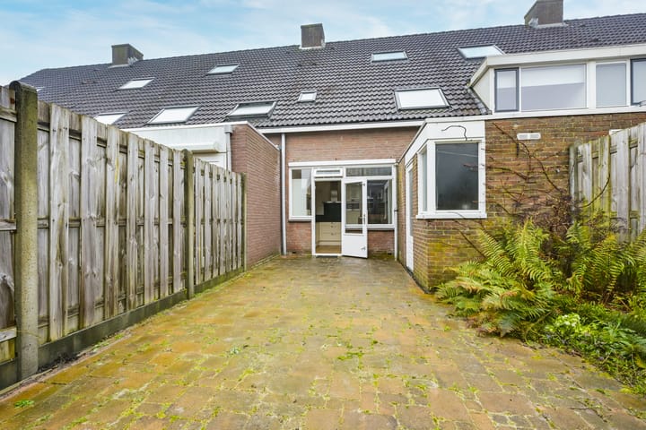 Foto 40 van Dammolen 60