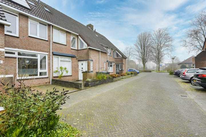 Foto 45 van Dammolen 60