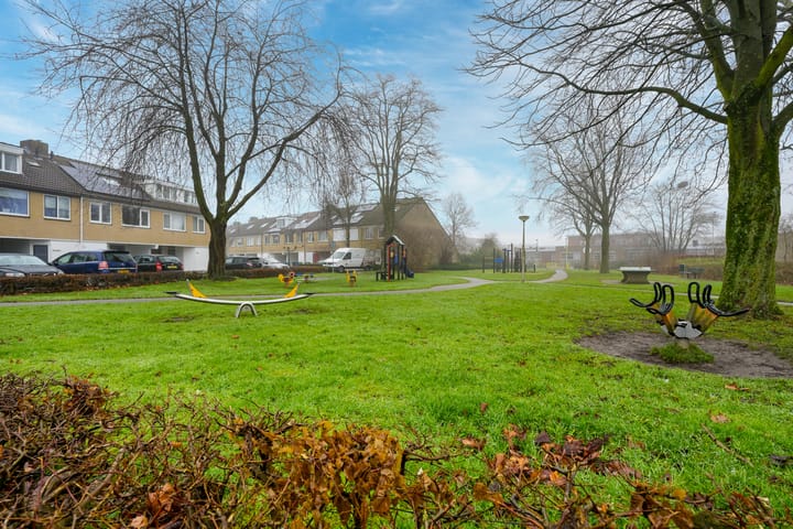 Foto 46 van Dammolen 60