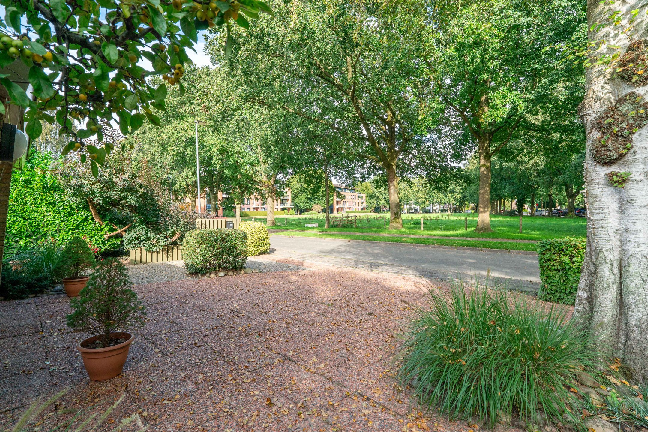 Foto 3 van Weg voor de Jagerskampen 49