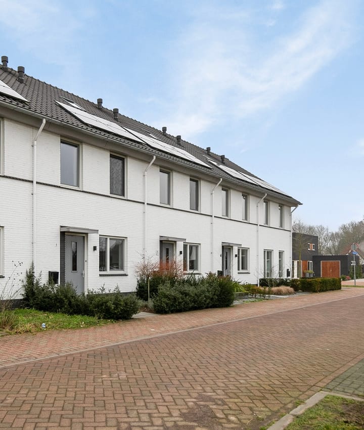 Foto 37 van Aardbeivlinder 8