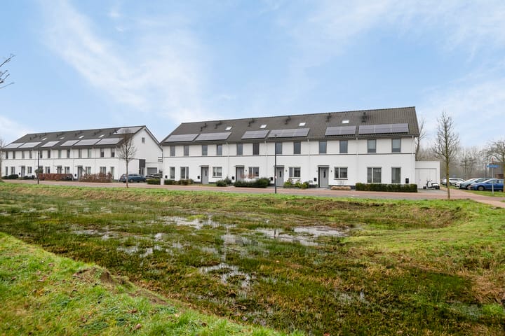 Foto 3 van Aardbeivlinder 8