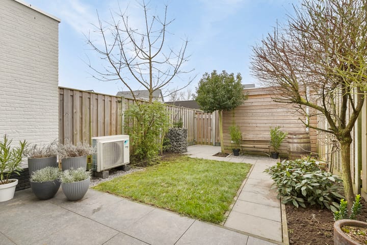 Foto 30 van Aardbeivlinder 8