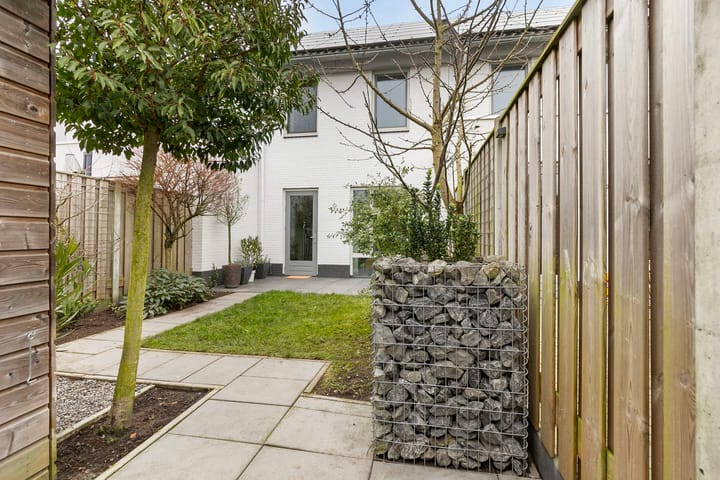 Foto 33 van Aardbeivlinder 8