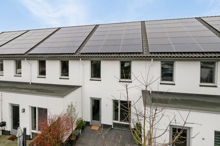 Foto 35 van Aardbeivlinder 8