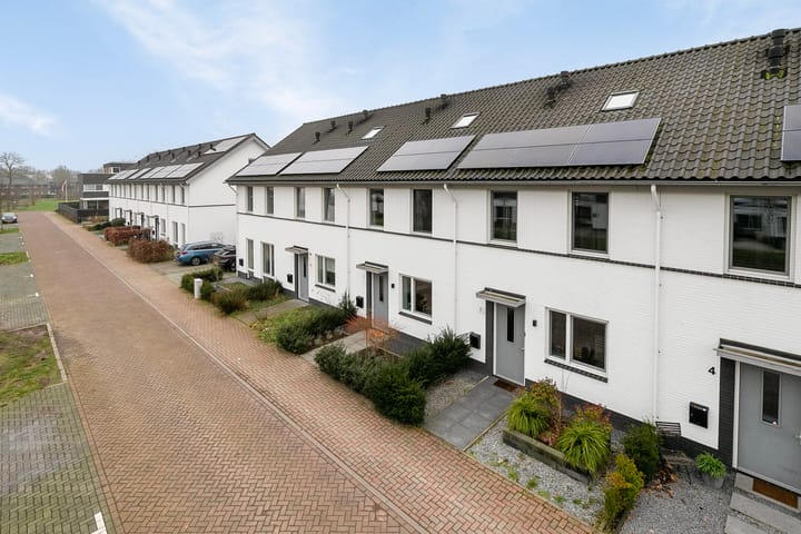 Foto 36 van Aardbeivlinder 8