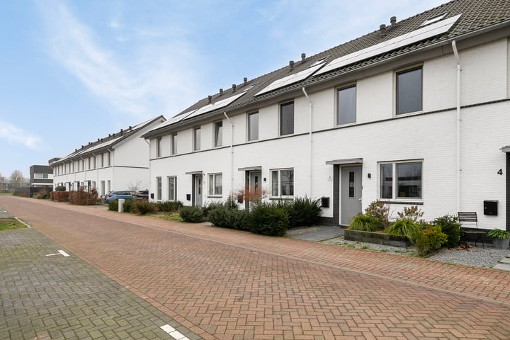 Foto 1 van Aardbeivlinder 8