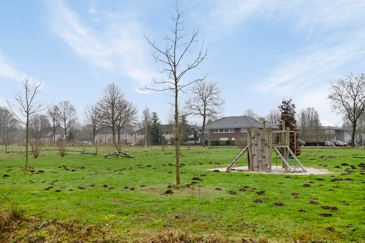 Foto 38 van Aardbeivlinder 8