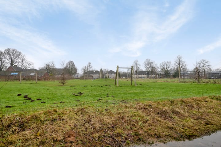 Foto 39 van Aardbeivlinder 8