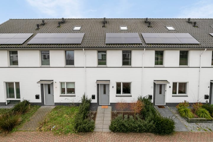 Foto 40 van Aardbeivlinder 8