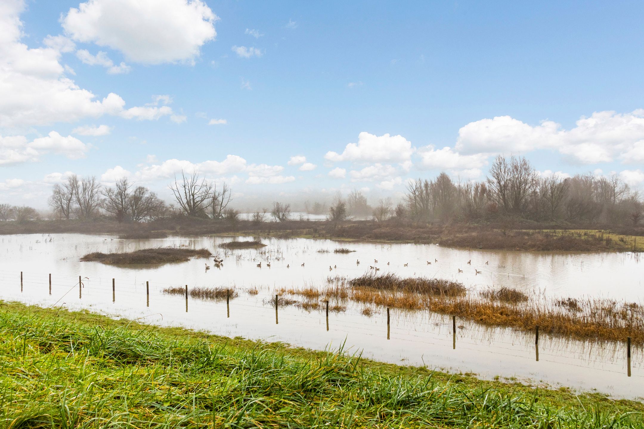 Foto 42 van Nachtschade 134