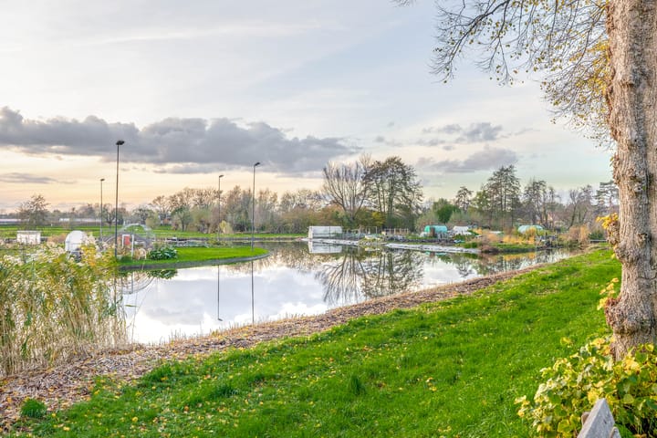 Photo 33 of Koningin Julianastraat 3