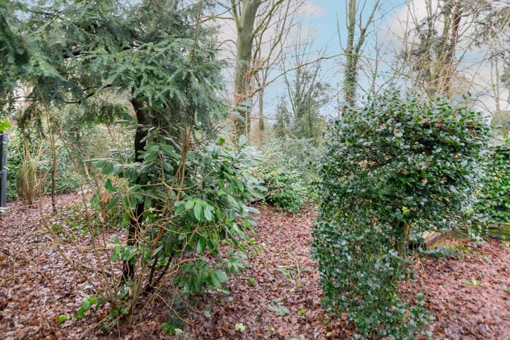 Foto 30 van Vlielandlaan 4