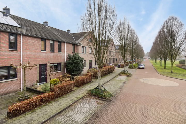 Foto 31 van Wildbaan 38