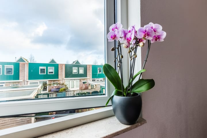 Foto 20 van Halsgevel 29