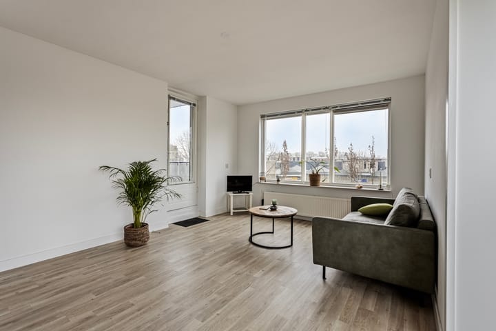 Foto 3 van Goudplevier 21