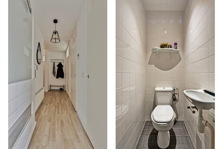 Foto 12 van Goudplevier 21