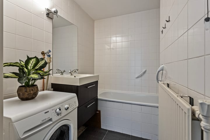 Foto 15 van Goudplevier 21