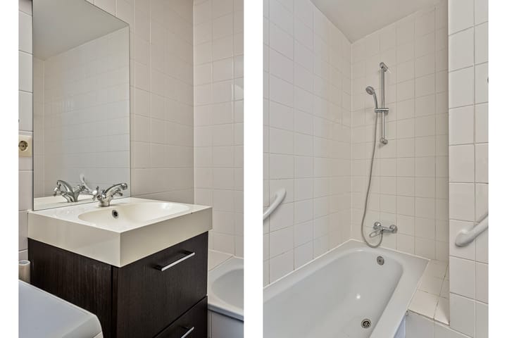 Foto 16 van Goudplevier 21