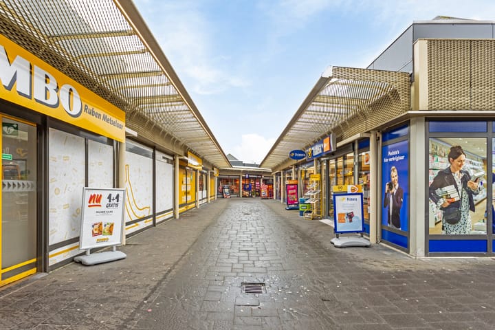 Foto 25 van Goudplevier 21