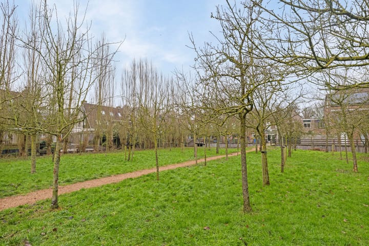 Photo 29 of Molshoefweer 41